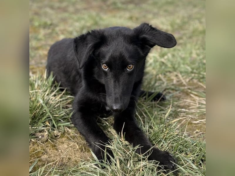 Ikko ein kleiner unglücklicher Engel