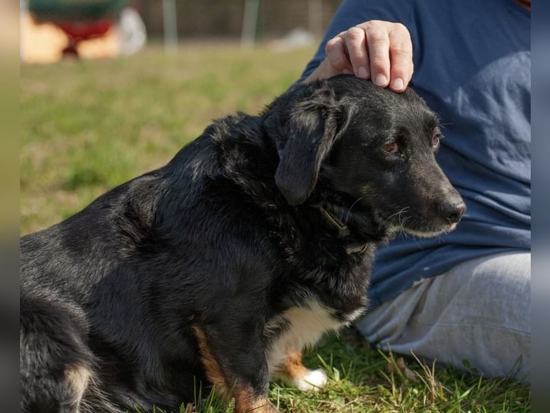 Karlo braucht erfahrene Menschen