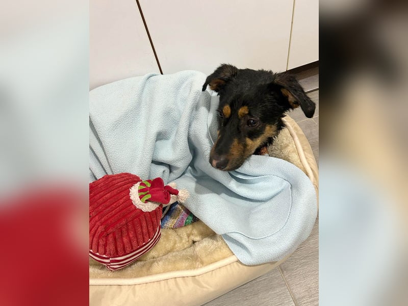 Kleine, schüchterne Rica sucht liebe Menschen