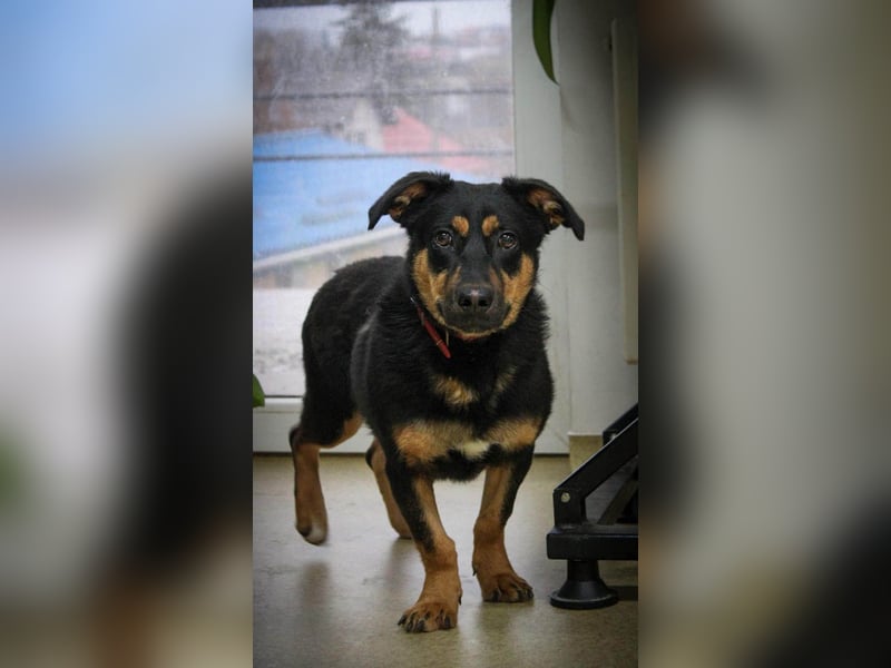 Kleine, schüchterne Rica sucht liebe Menschen