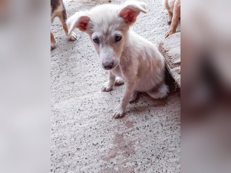 15 W wurde einfach vor dem Shelter ausgesetzt