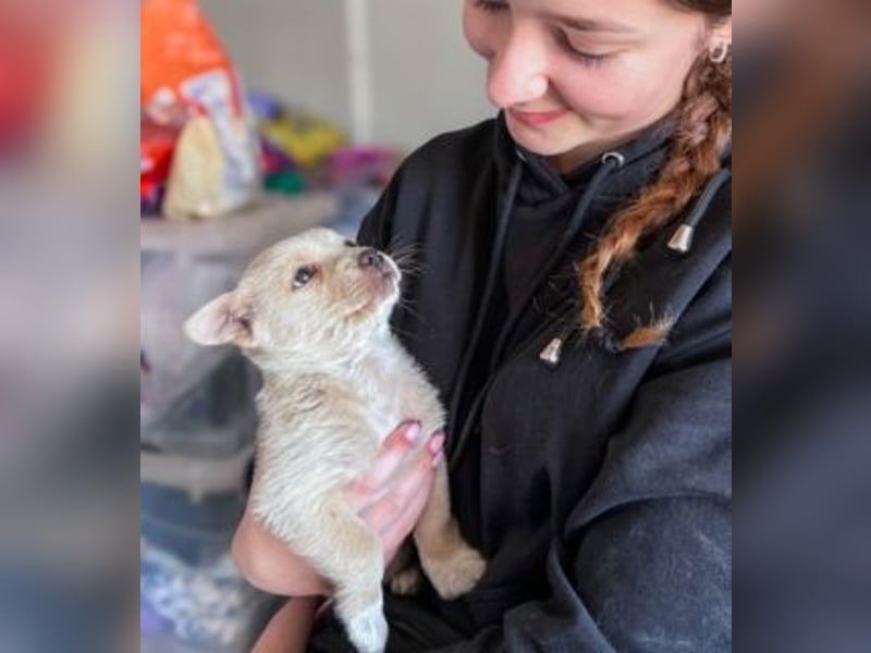 Penny ist eine kleine Herzensbrecherin