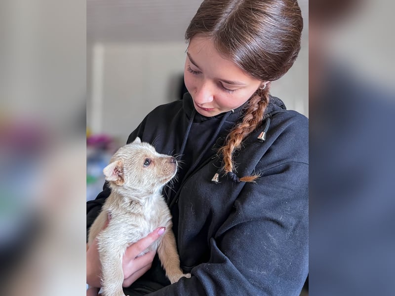 Penny ist eine kleine Herzensbrecherin