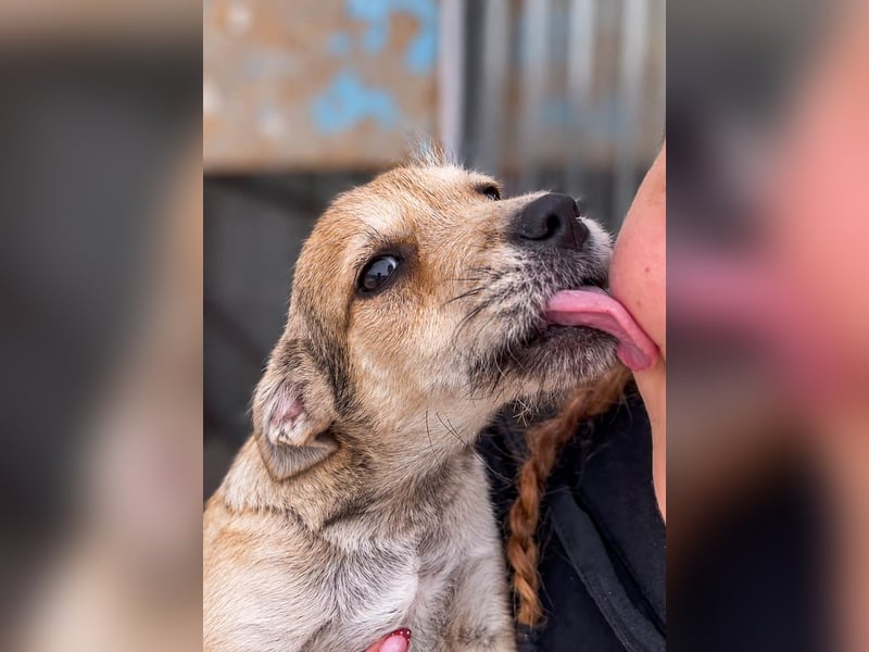 Riley ist unser Schmusekönig