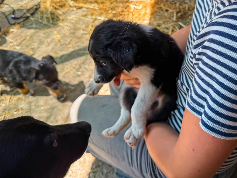 Lucy ist ein kleines Zuckerschnütchen