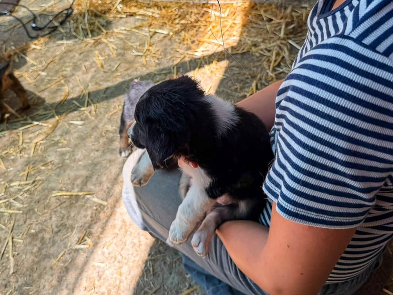 Lucy ist ein kleines Zuckerschnütchen
