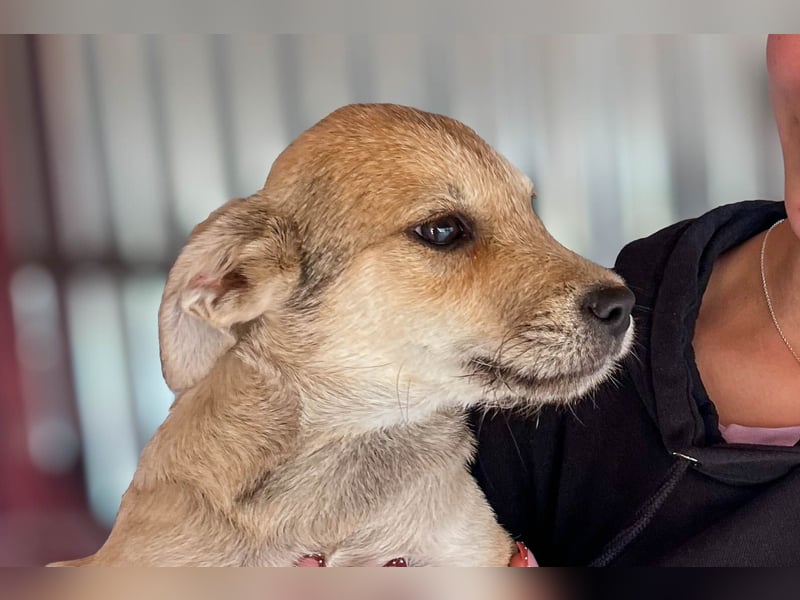 Riley ist unser Schmusekönig
