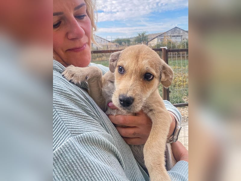 Riley ist unser Schmusekönig