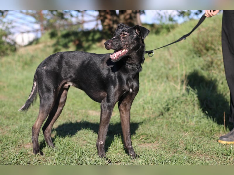 Aufgeweckter Mario sucht seine Familie