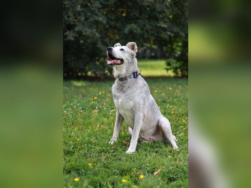 Wunderbare Hilda sucht Trauzuhause