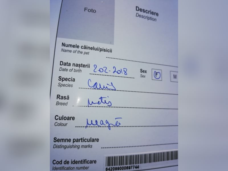 Lisa – so ein großer Schatz, 2 Jahre jung