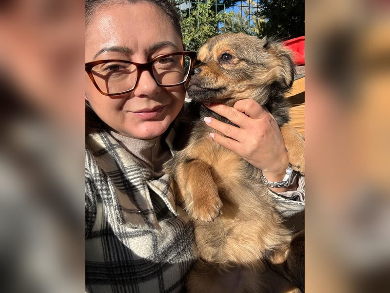 JIMMY & JOEY - 2 Brüder suchen ihre Menschen