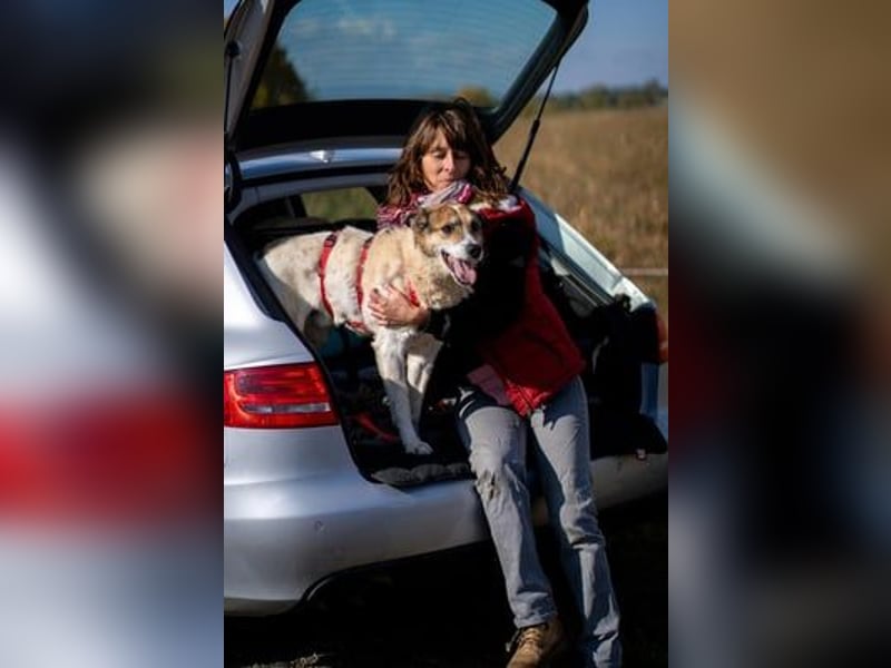 Gari