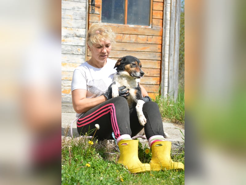 Liebe und verträgliche Hündin „Mariechen“, ca. 2021 geboren, sehr lieb, ruhig und anhänglich, sucht