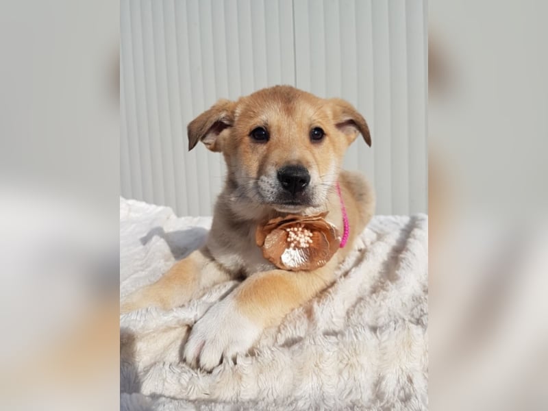 Malina, ca. 4 Monate alt