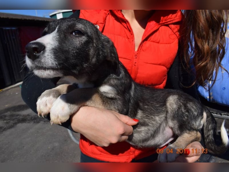 Said, ca. 4 Monate alt