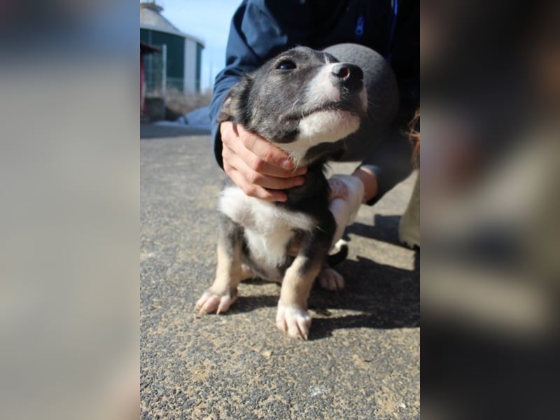 Said, ca. 4 Monate alt