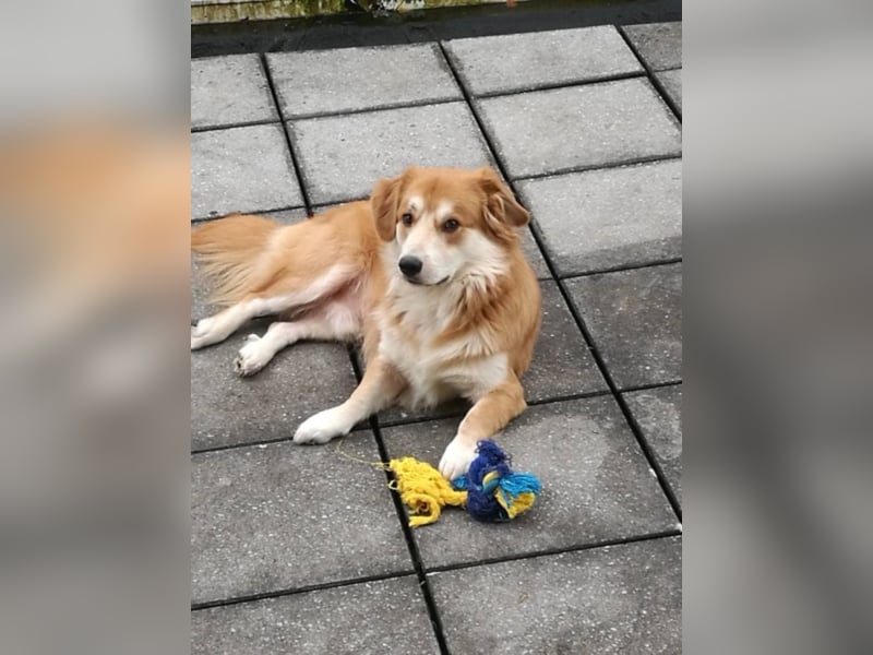 Aurell, ca. 1,5 Jahre alt