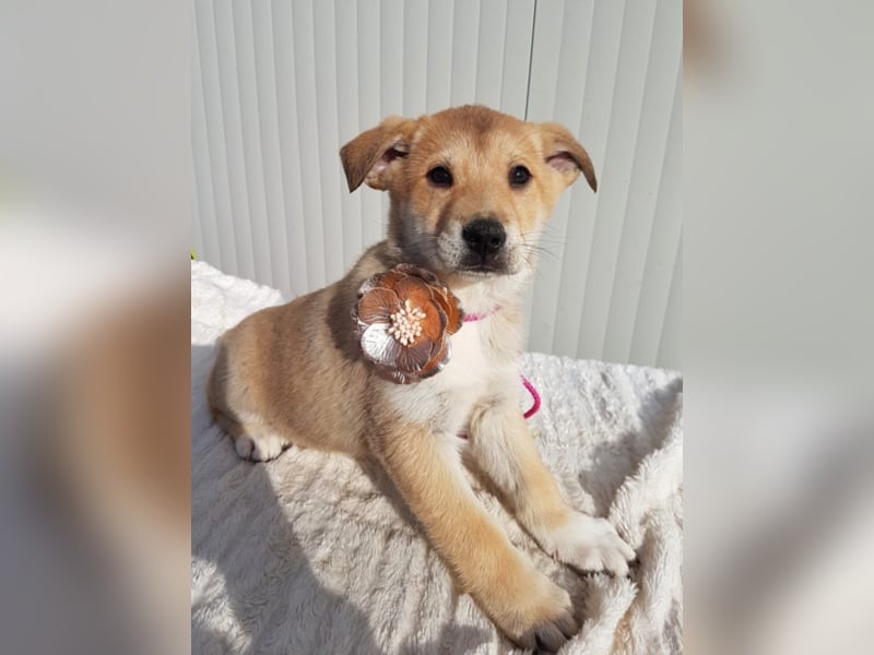 Malina, ca. 4 Monate alt