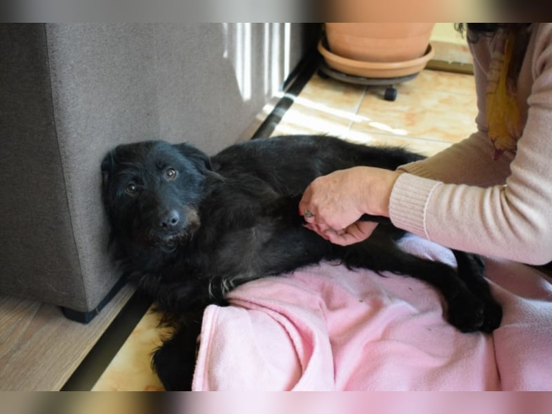 Eddy, ca. 2 Jahre alt