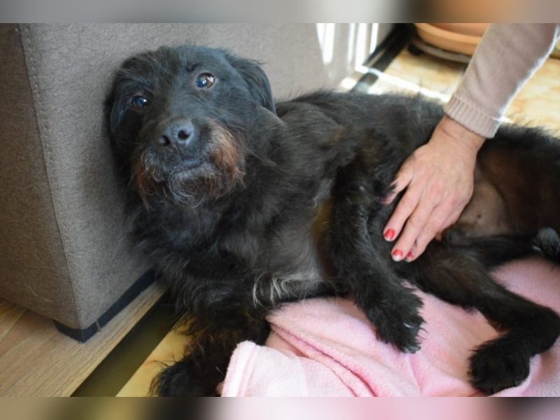 Eddy, ca. 2 Jahre alt