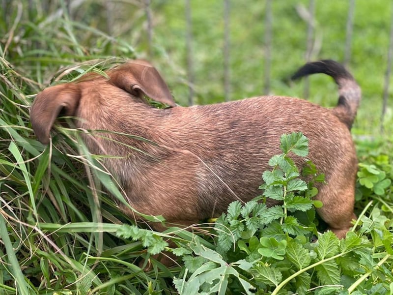 Athena - kleine Entdeckerin auf der Suche nach Ihrem Zuhause