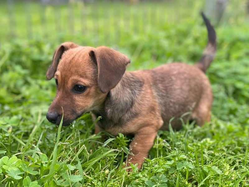 Athena - kleine Entdeckerin auf der Suche nach Ihrem Zuhause