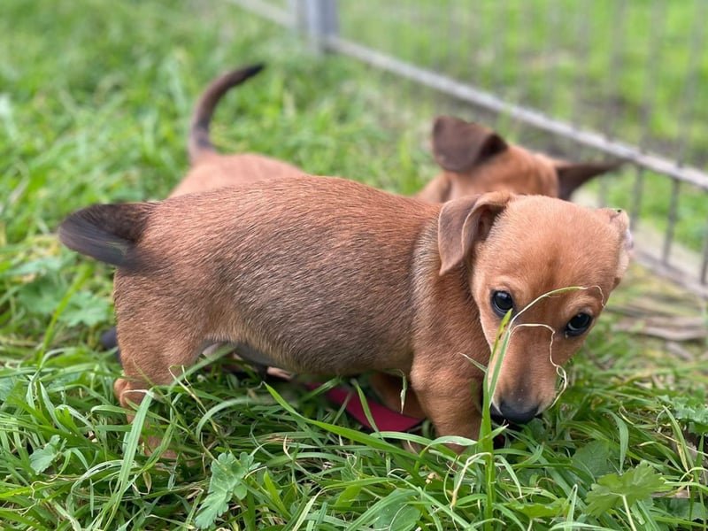 Athena - kleine Entdeckerin auf der Suche nach Ihrem Zuhause