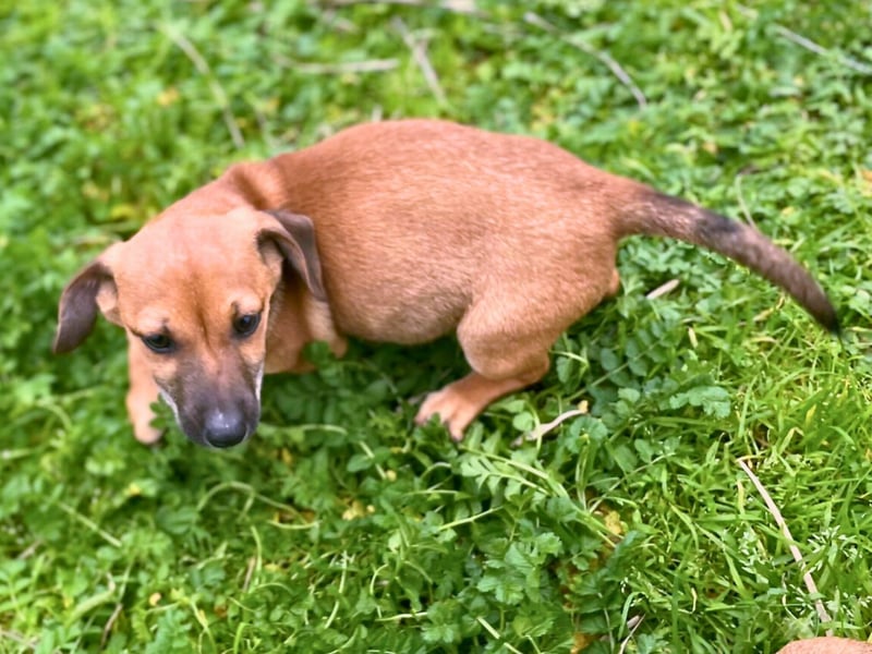 Aldo - kleiner Entdecker auf der Suche nach seinem Zuhause