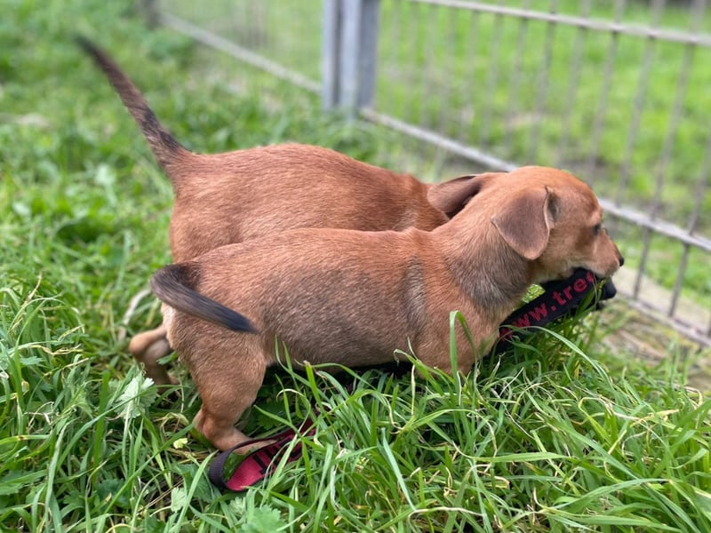 Athena - kleine Entdeckerin auf der Suche nach Ihrem Zuhause