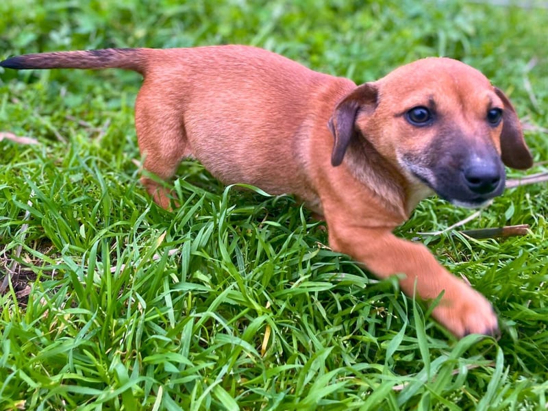 Aldo - kleiner Entdecker auf der Suche nach seinem Zuhause