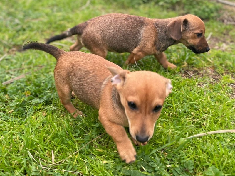 Athena - kleine Entdeckerin auf der Suche nach Ihrem Zuhause