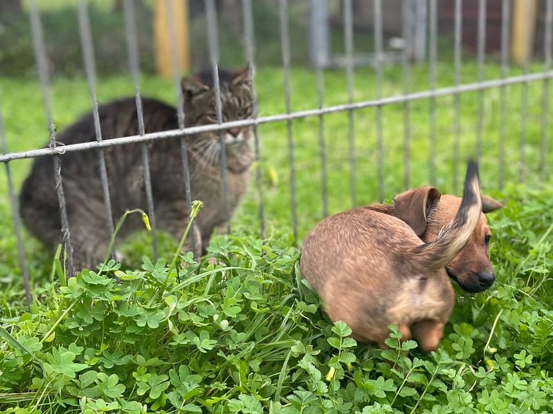Athena - kleine Entdeckerin auf der Suche nach Ihrem Zuhause