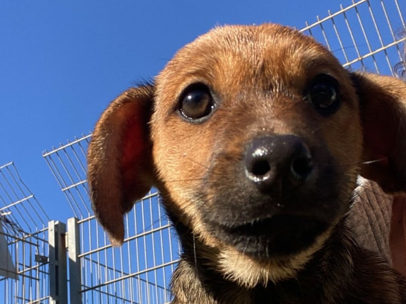 Athena - kleine Entdeckerin auf der Suche nach Ihrem Zuhause