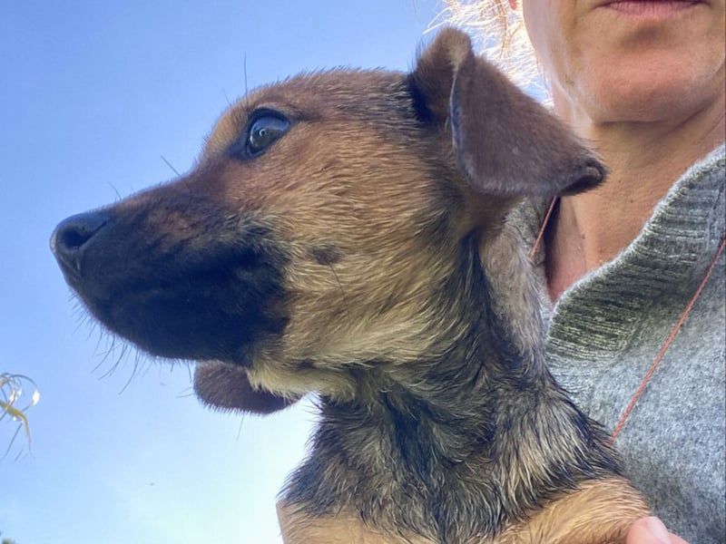 Athena - kleine Entdeckerin auf der Suche nach Ihrem Zuhause