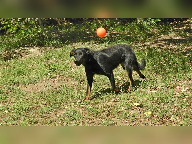 Olivia: Sie liebt Menschen, vielleicht wird sie auch bald geliebt..?