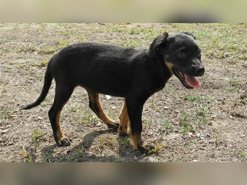 Olivia: Sie liebt Menschen, vielleicht wird sie auch bald geliebt..?