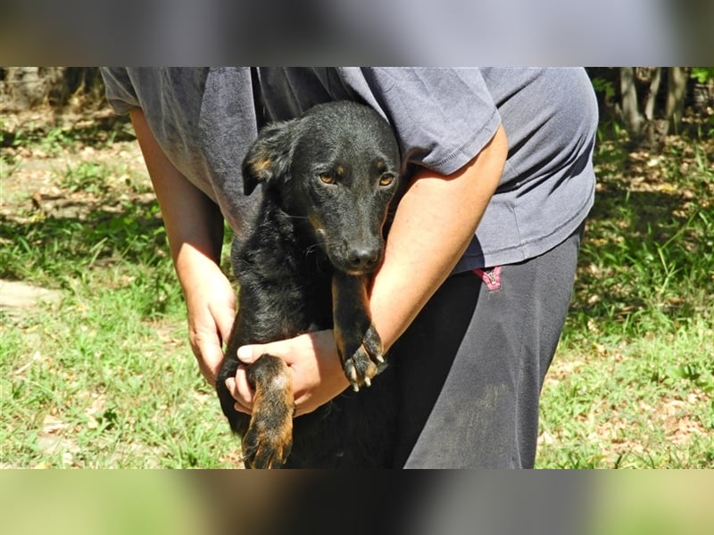 Olivia: Sie liebt Menschen, vielleicht wird sie auch bald geliebt..?