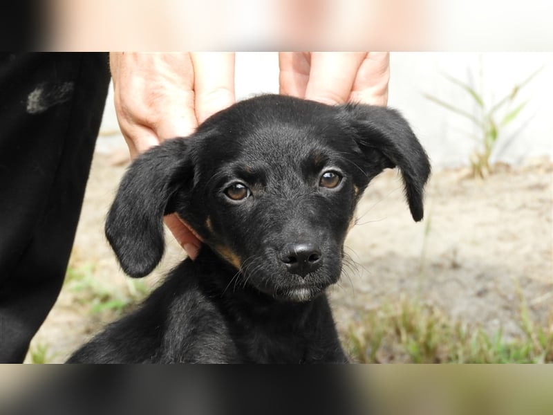 Olivia: Sie liebt Menschen, vielleicht wird sie auch bald geliebt..?