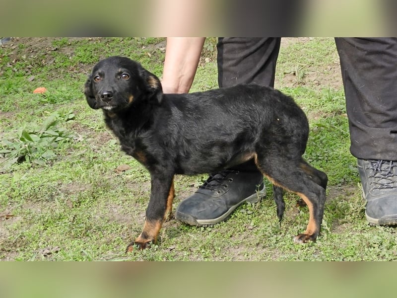 Olivia: Sie liebt Menschen, vielleicht wird sie auch bald geliebt..?