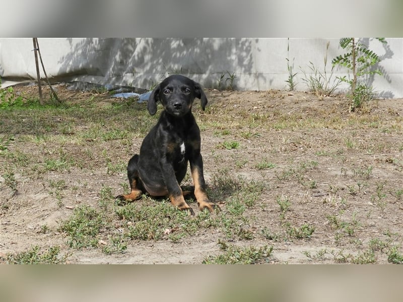 Olivia: Sie liebt Menschen, vielleicht wird sie auch bald geliebt..?