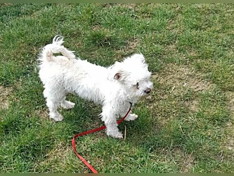 Timmy, freundlich und lieb