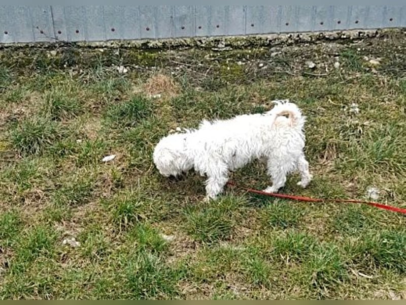 Timmy, freundlich und lieb