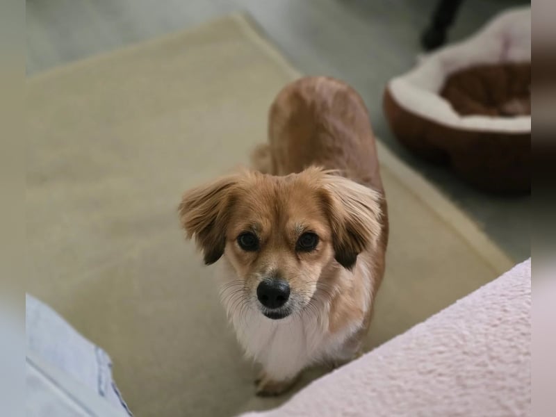 Elenora - sanft & sensibel