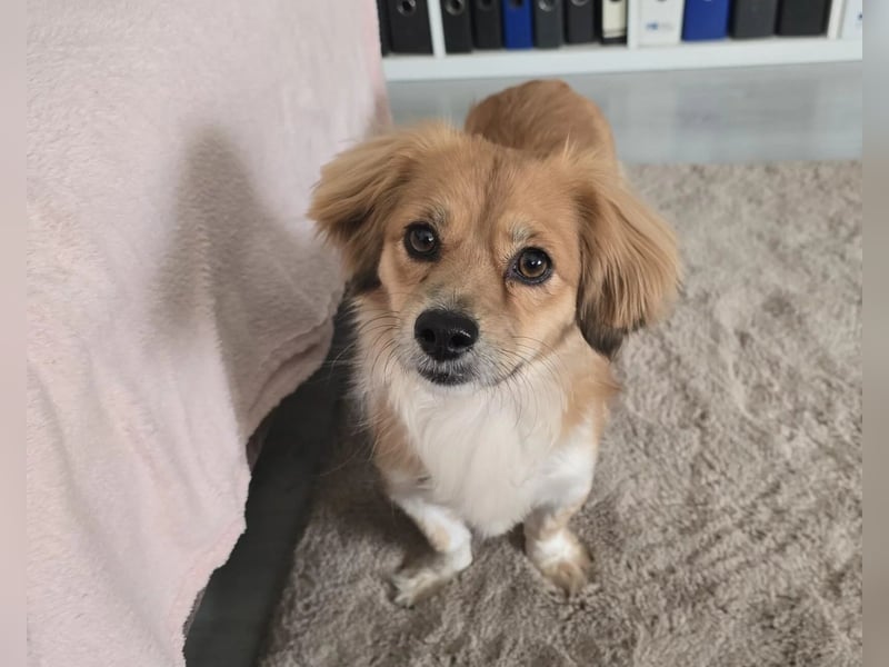 Elenora - sanft & sensibel