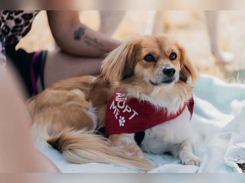 Elenora - sanft & sensibel