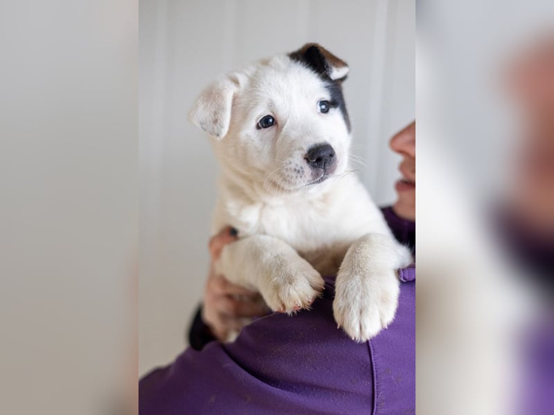 GARLIC - voller Liebe und Lebensfreude