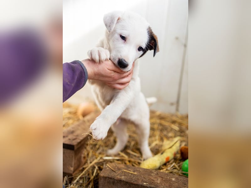 GARLIC - voller Liebe und Lebensfreude