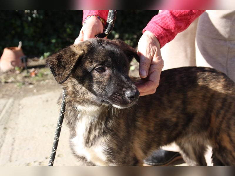 LOTTA - neugierig auf ihre liebevolle "Für-immer-Familie"