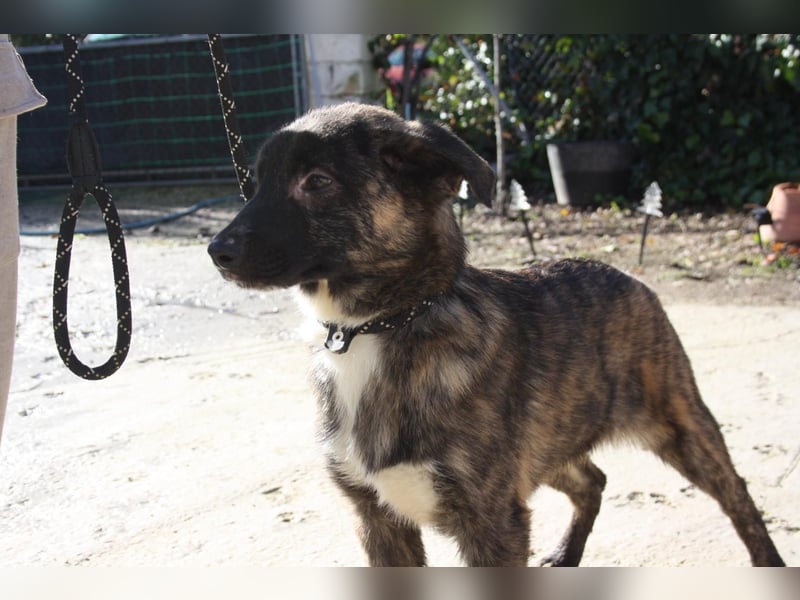 LOTTA - neugierig auf ihre liebevolle "Für-immer-Familie"